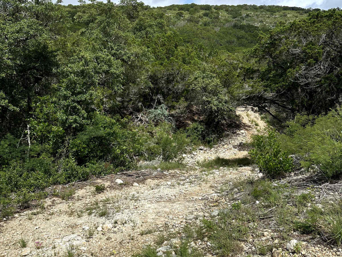 Aoudad Xing photo 3