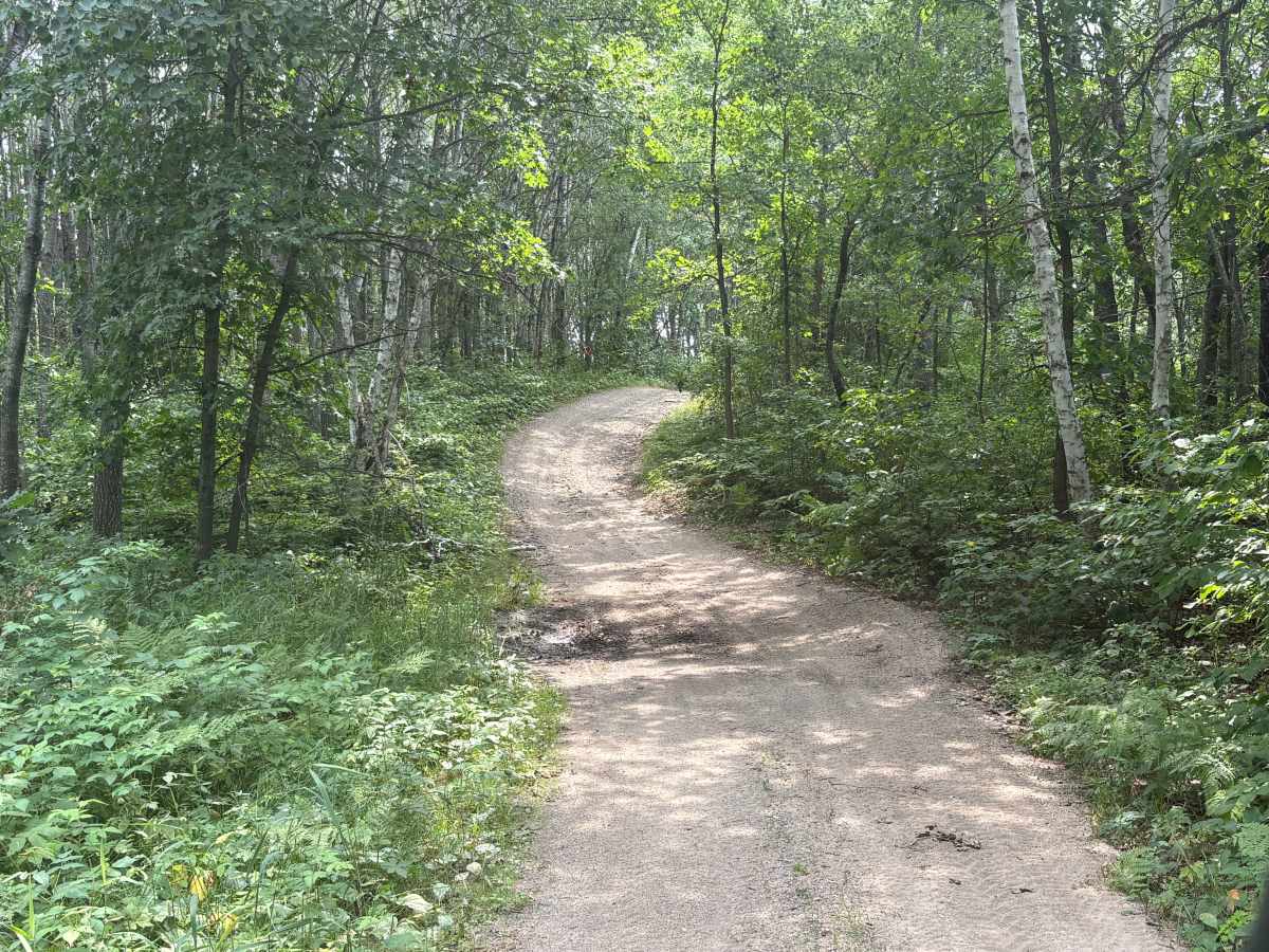 Forest Road 0404 photo 5