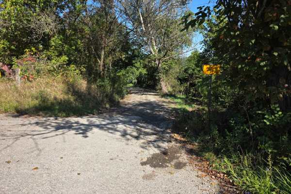 Halstead Hill Road