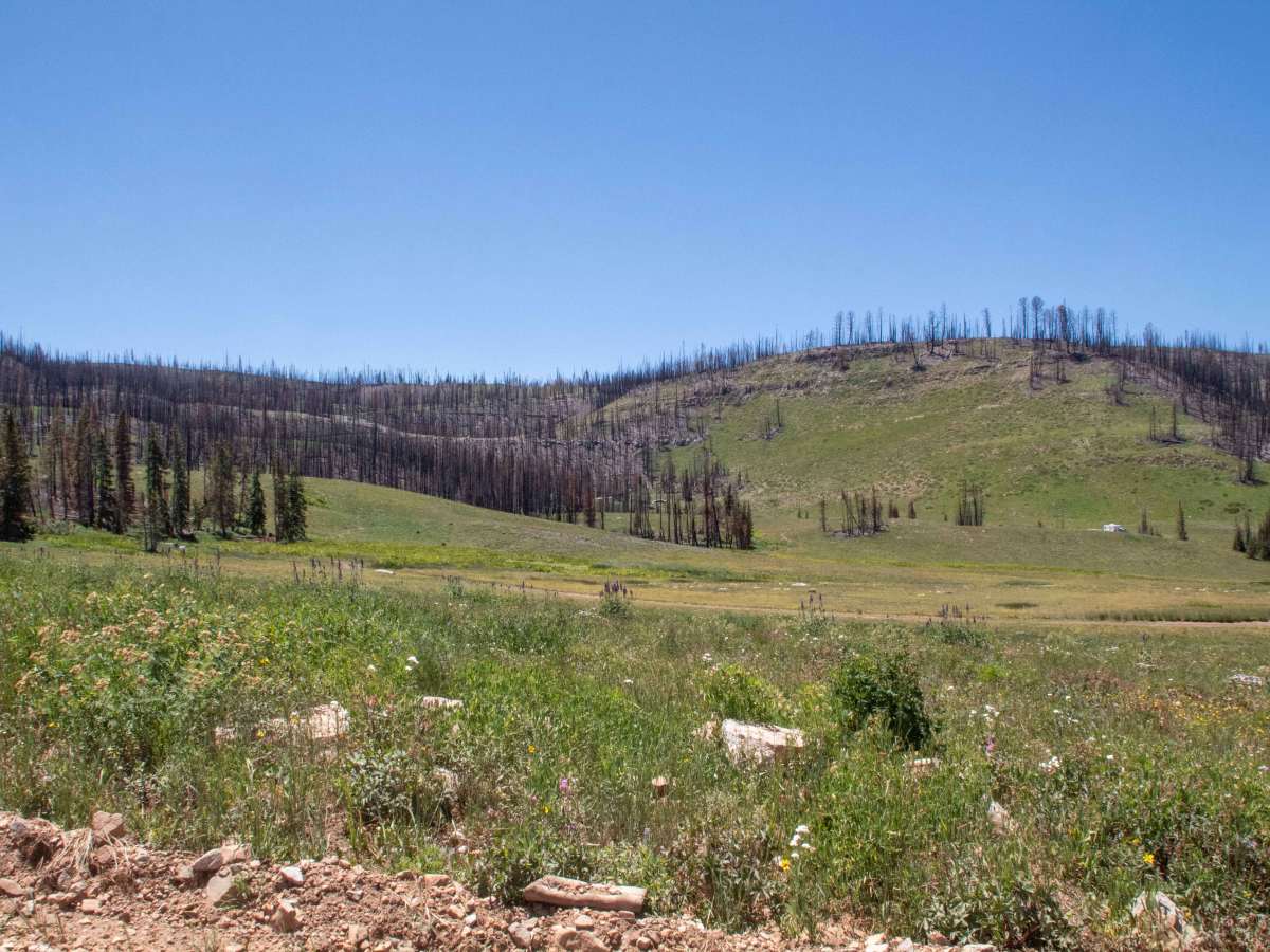 Cold Springs photo 3
