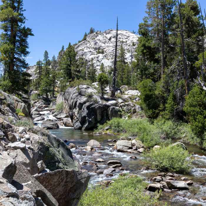 Near West Walker River Trail #046