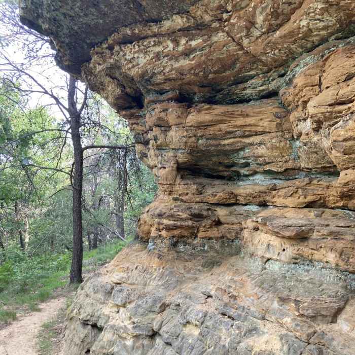 Near Wildcat Mound Loop Near Wildcat Mound Loop