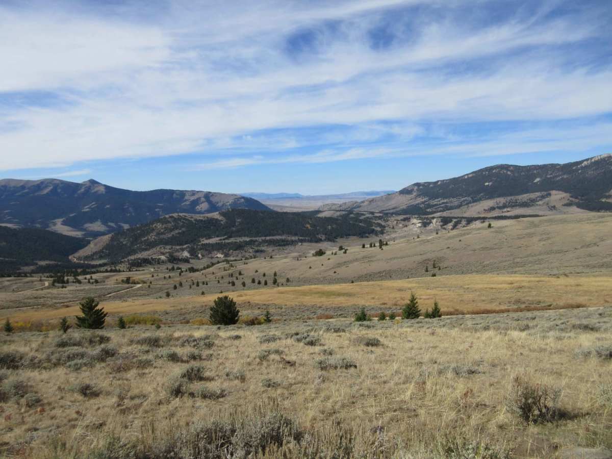 Warm Springs Creek Road (FA 163)/Cow Camp Road (FS 1234) photo 6