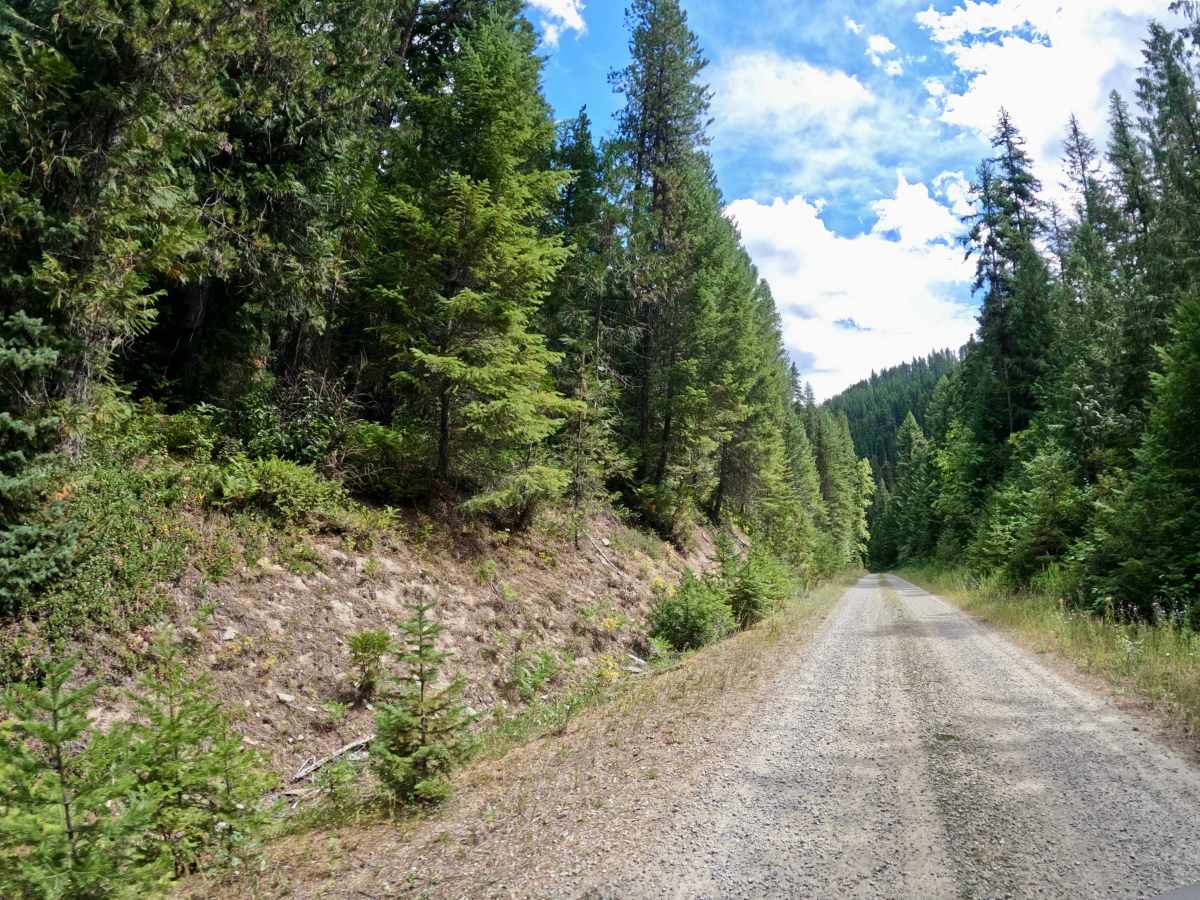 Newman Ridge Road (1185) - Canyon Creek Road (3816) photo 2