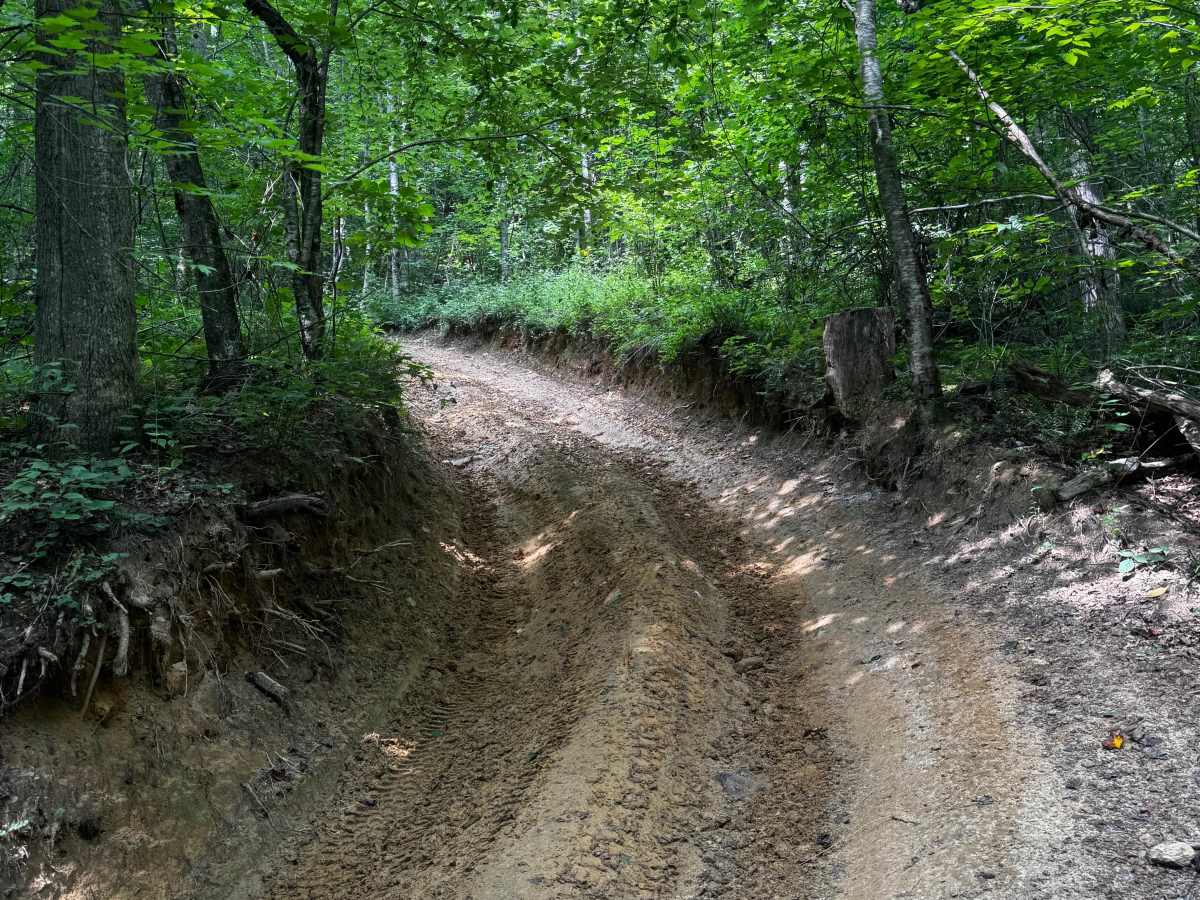 Trail 8A photo 4