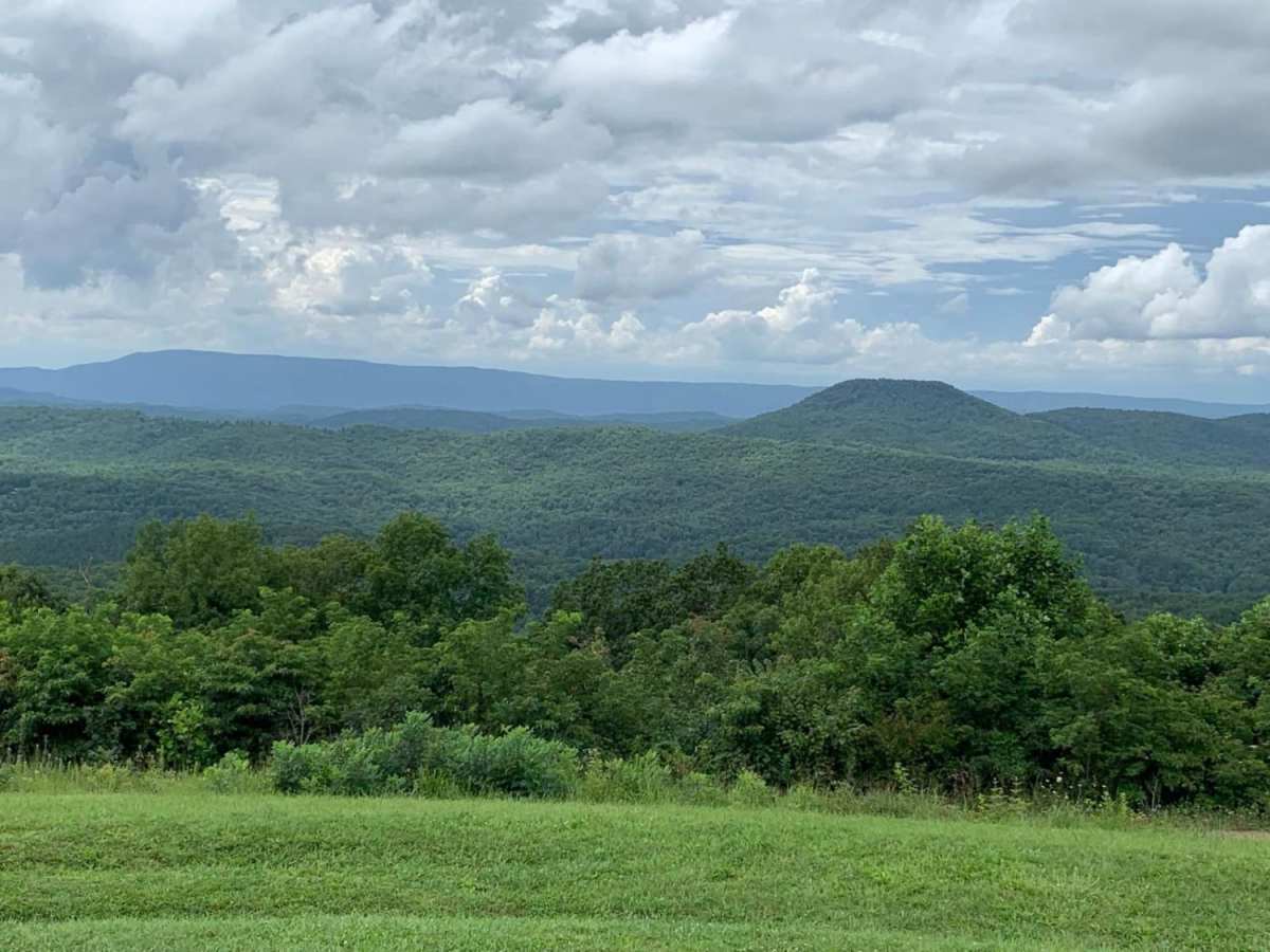 Buck Bald photo 3
