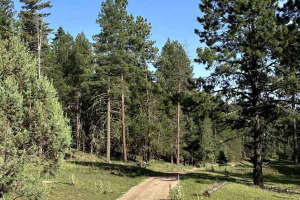 Hughes Canyon Road