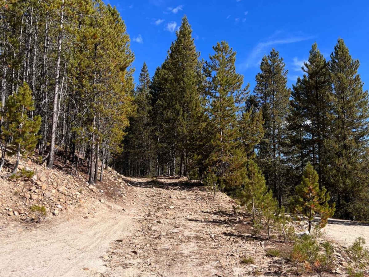Black Bear Point photo 2