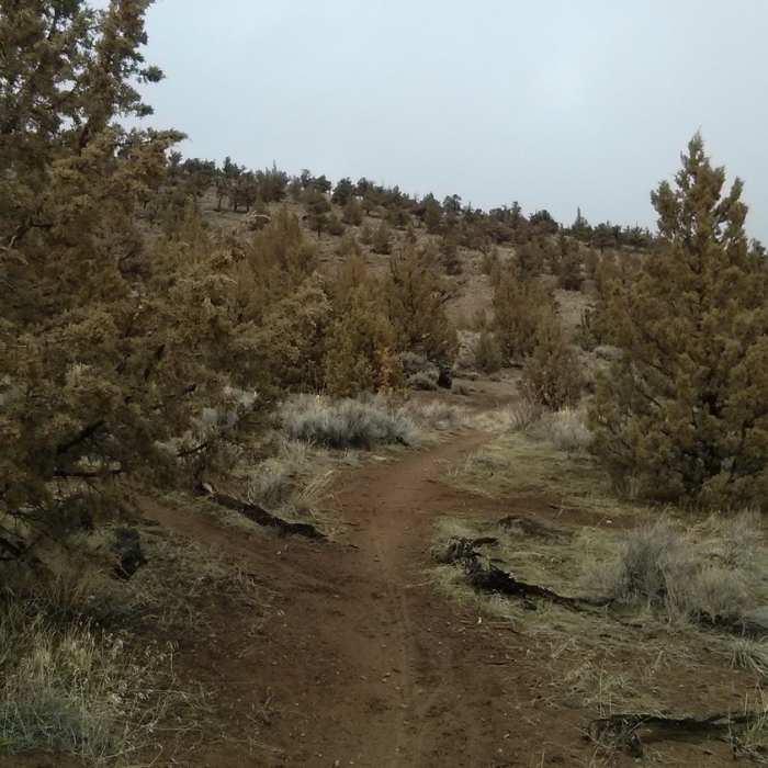 Near Cline Butte Trail