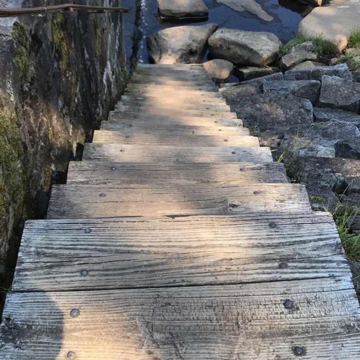Near Laurel Run Trail