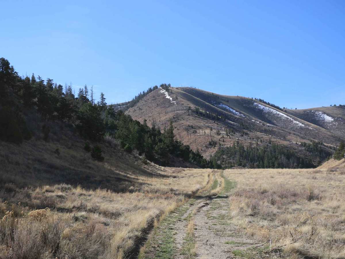 Bear Gulch - FS 10329 photo 3