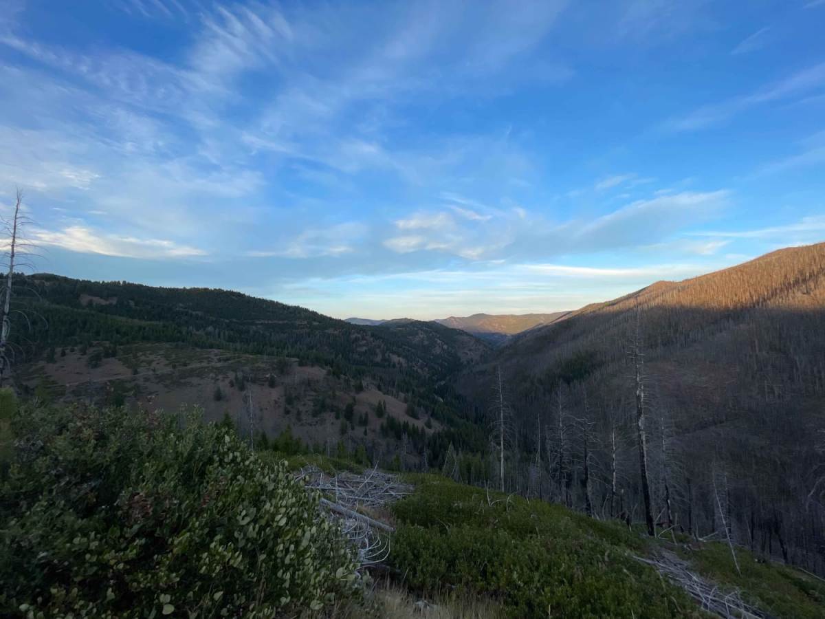 Woods Ridge Loop photo 2