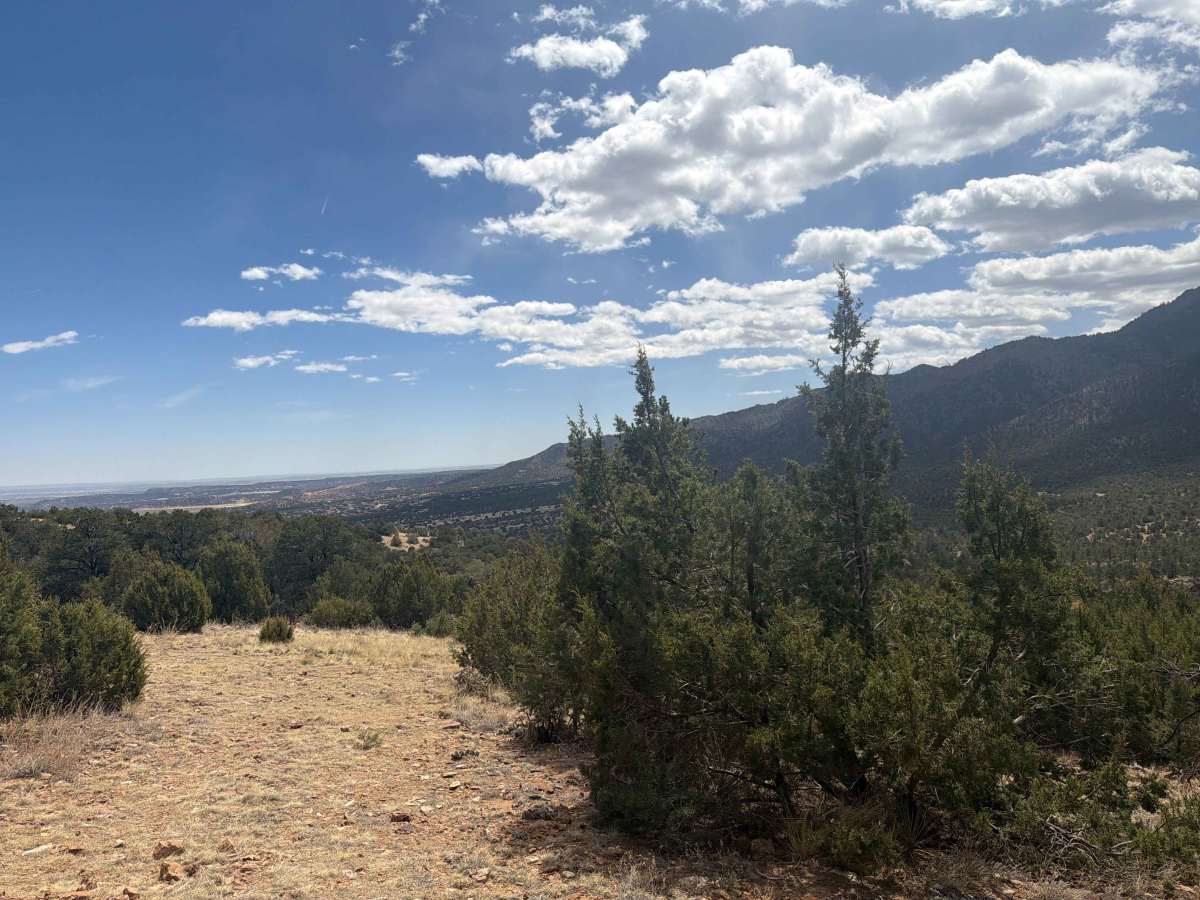 BLM 6182 photo 3