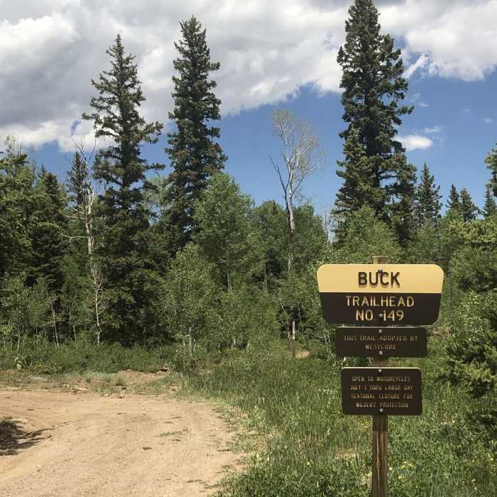 Trailhead Near Buck Trail