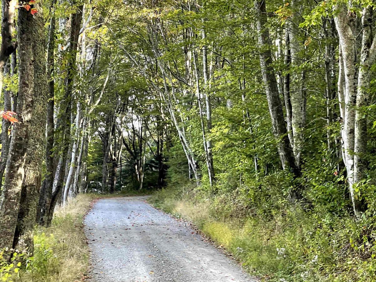 Shawnee Road photo 3