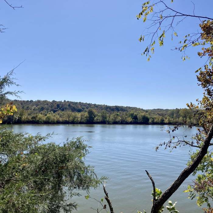 Near Cumberland River Bicentennial Trail Near Cumberland River Bicentennial Trail