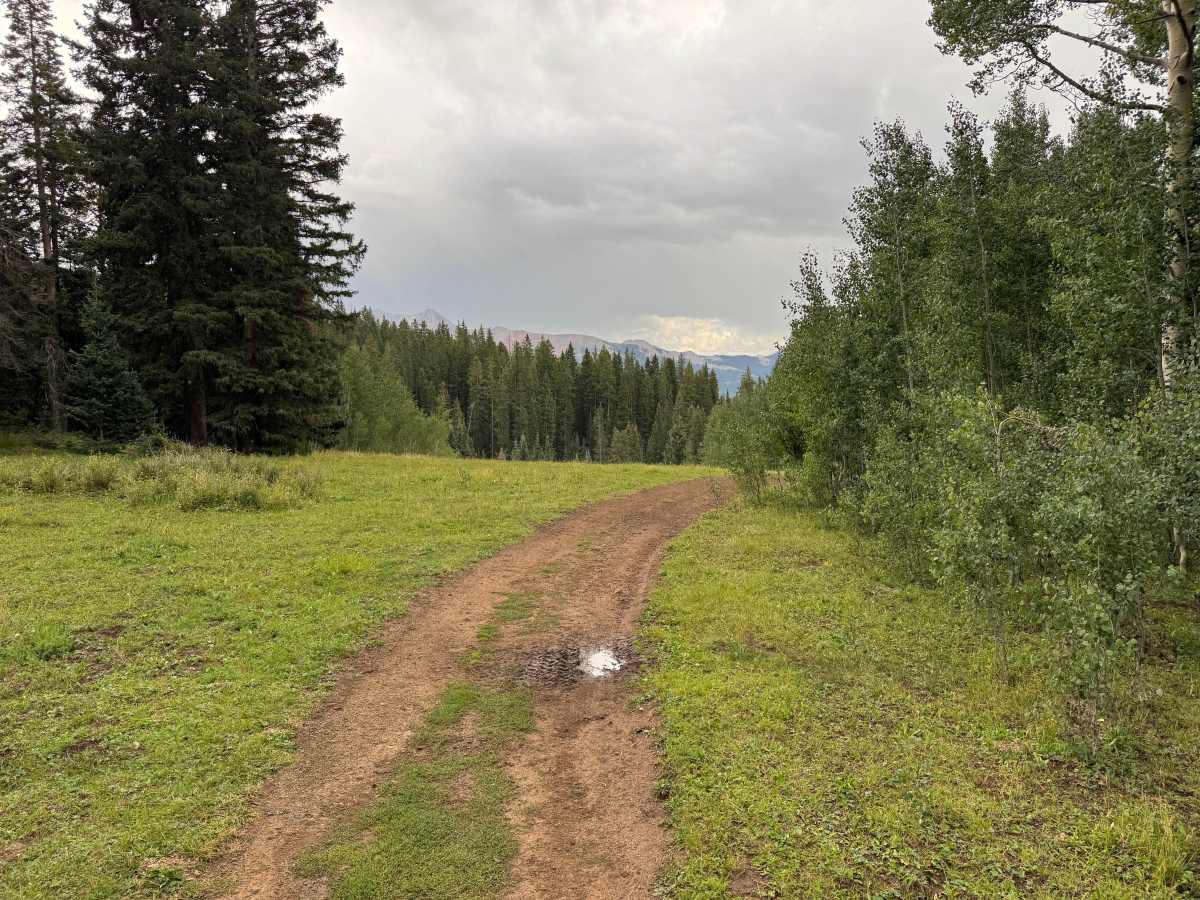 Turkey Creek Road photo 4