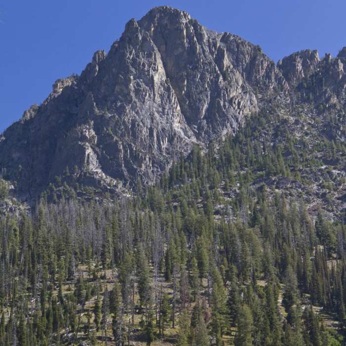 Near Middle Fork of the Boise River, Spangle Lake/Divide + Ingleborg Lake/Divide