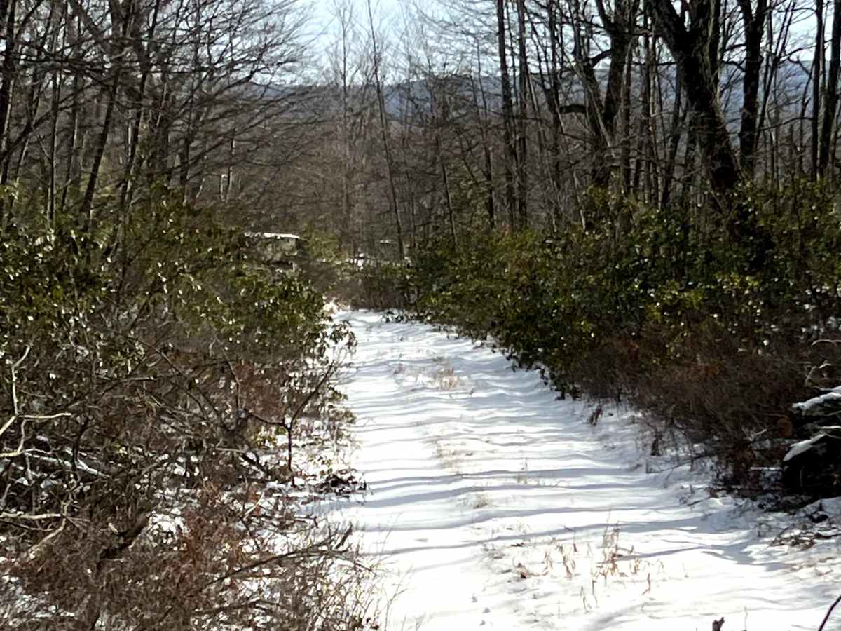 Coffer's Vista Trail photo 5