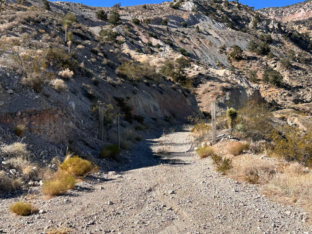 Cholla Pass trail photo