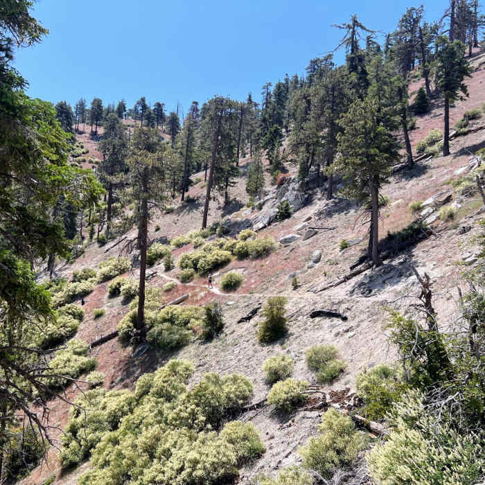 Near Three Points to Mill Creek Loop