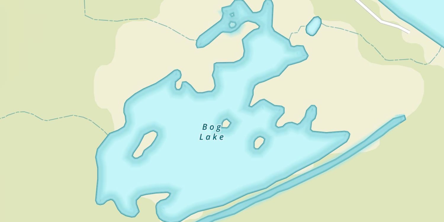 Bog Lake
