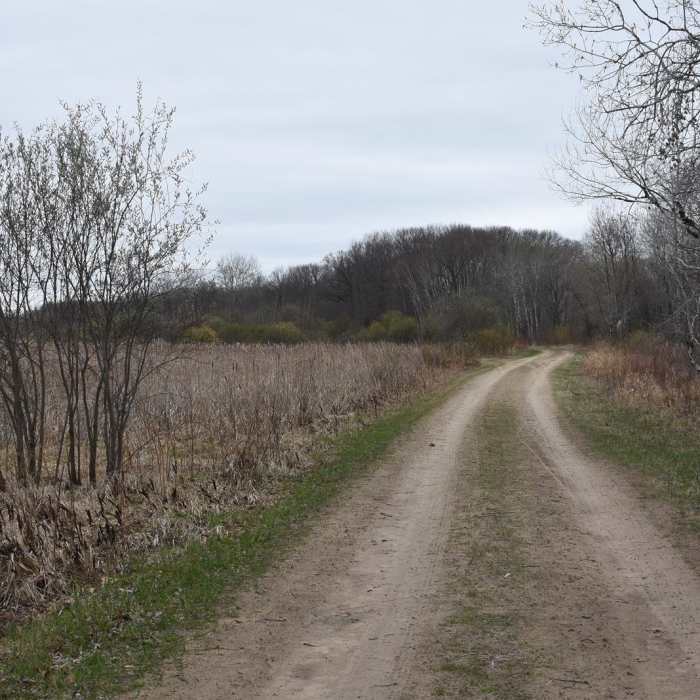 Near Carlos Avery Pool 15 Loop Near Carlos Avery Pool 15 Loop