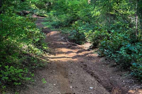 301