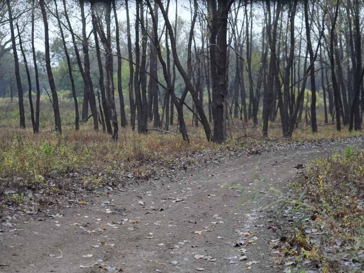 Otter Creek Inner Trail trail photo