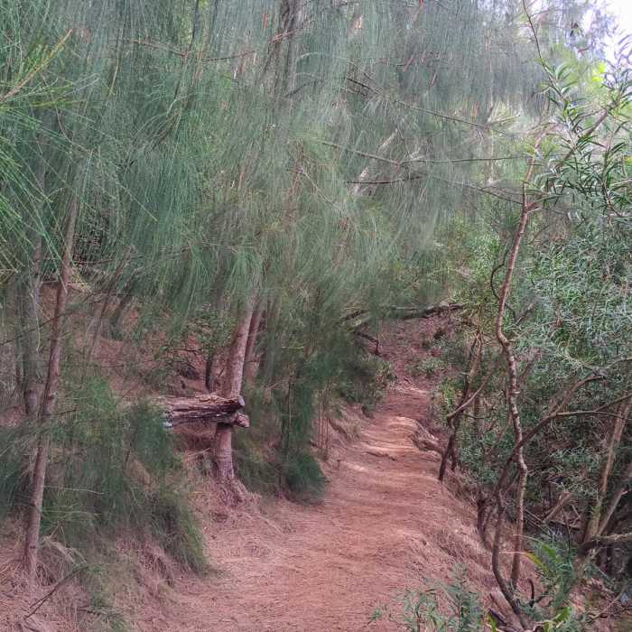 Near Kuli'ou'ou Ridge Near Kuli'ou'ou Ridge