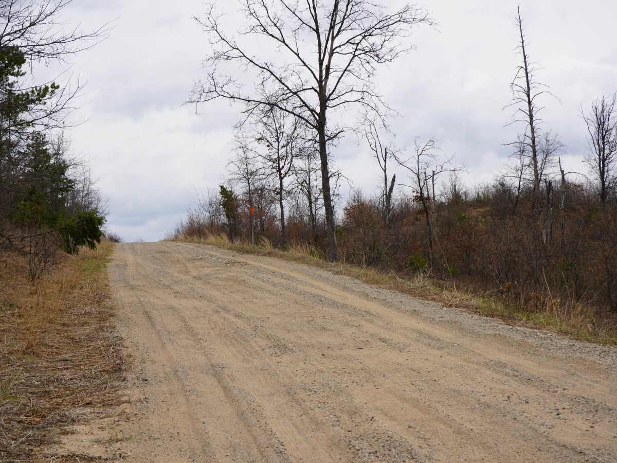 Deyarmond Valley Road photo 6