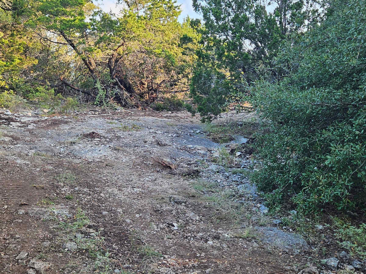 Rattlesnake Alley photo 4