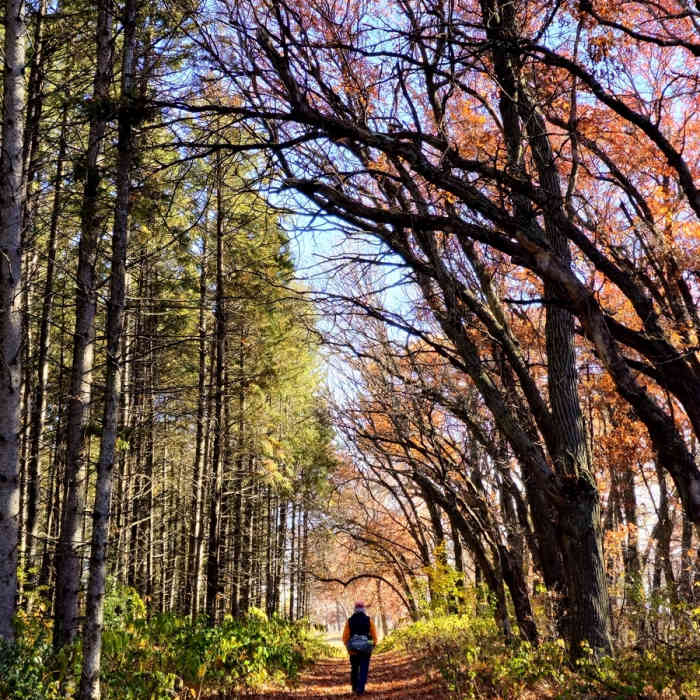Near Blue Hill Trail