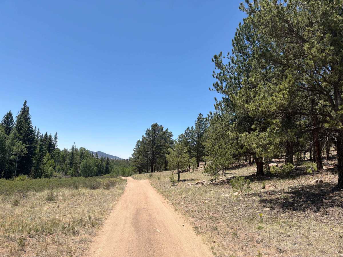 Burma Shave Road - FS 242 photo 3