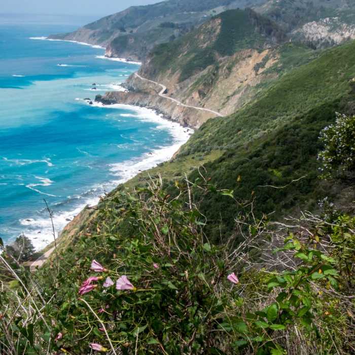 Near Kirk Creek / Vicente Flat Trail