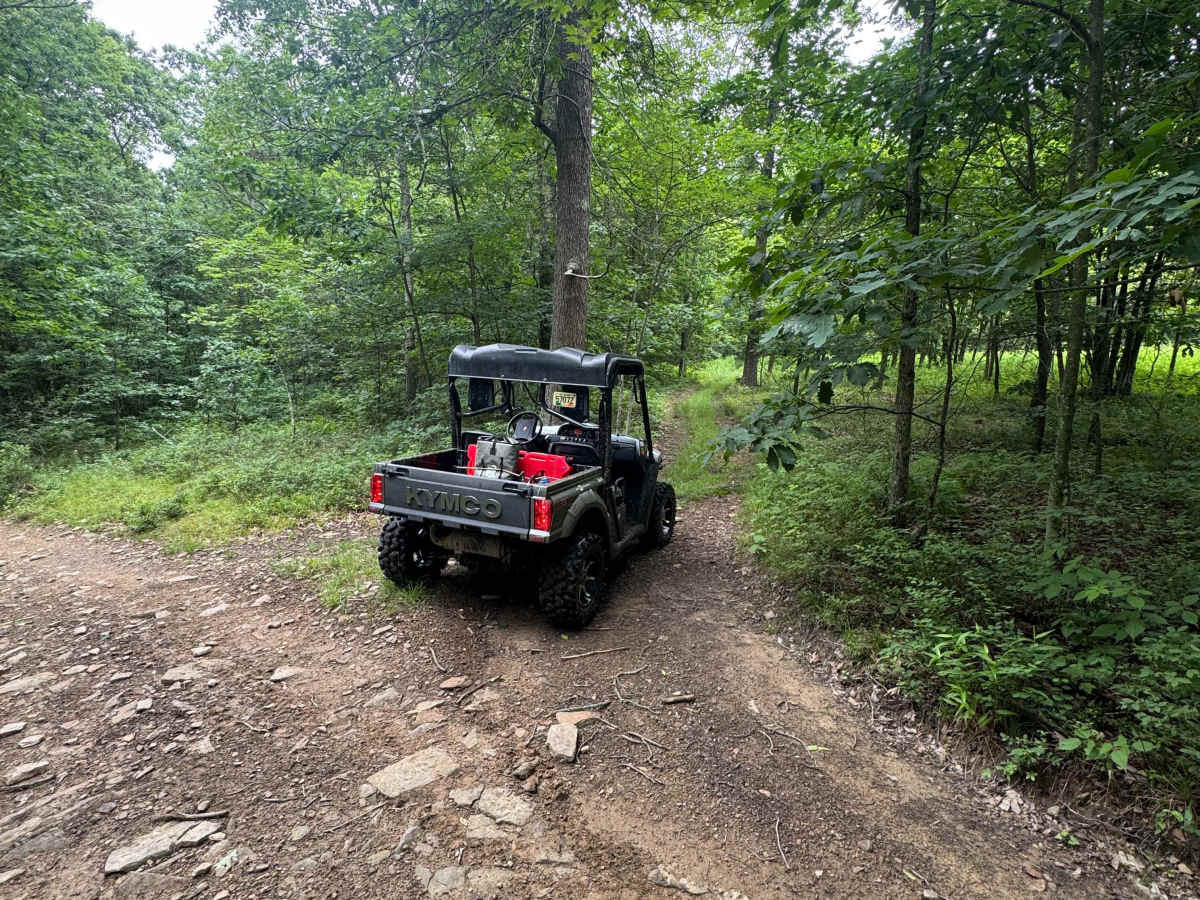 Trail 15 trail photo