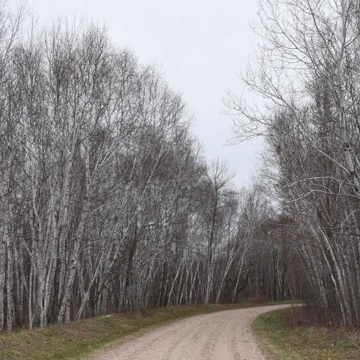 Near Carlos Avery Pool 15 Loop Near Carlos Avery Pool 15 Loop