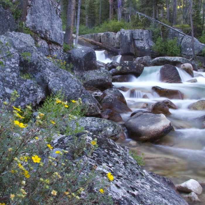 Near South Fork of the Payette River, Taylor Springs to Elk Lake