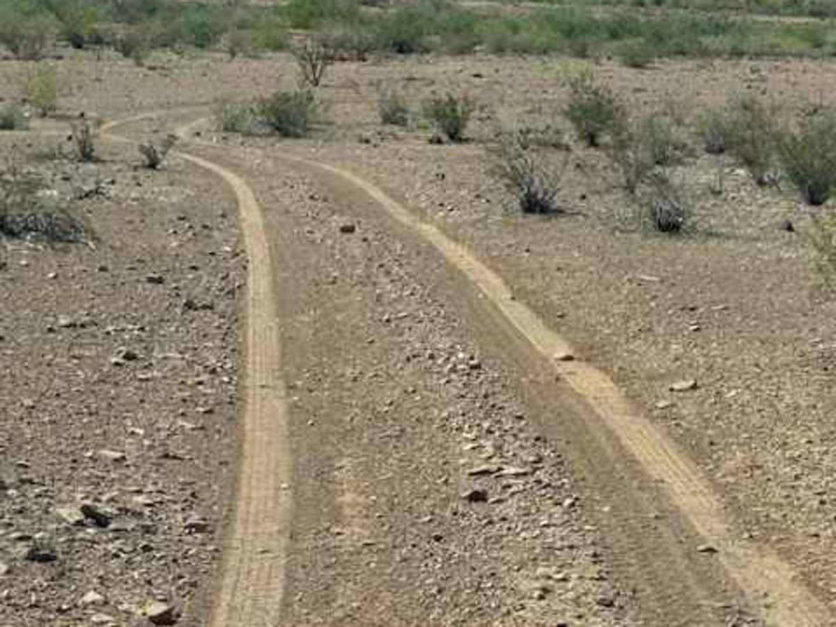 BLM PE1021 photo 2