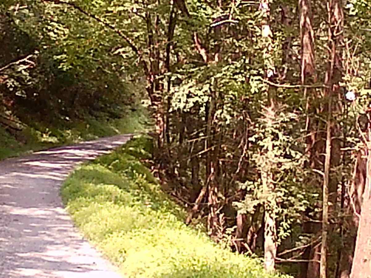 Weikert Run Road photo 4