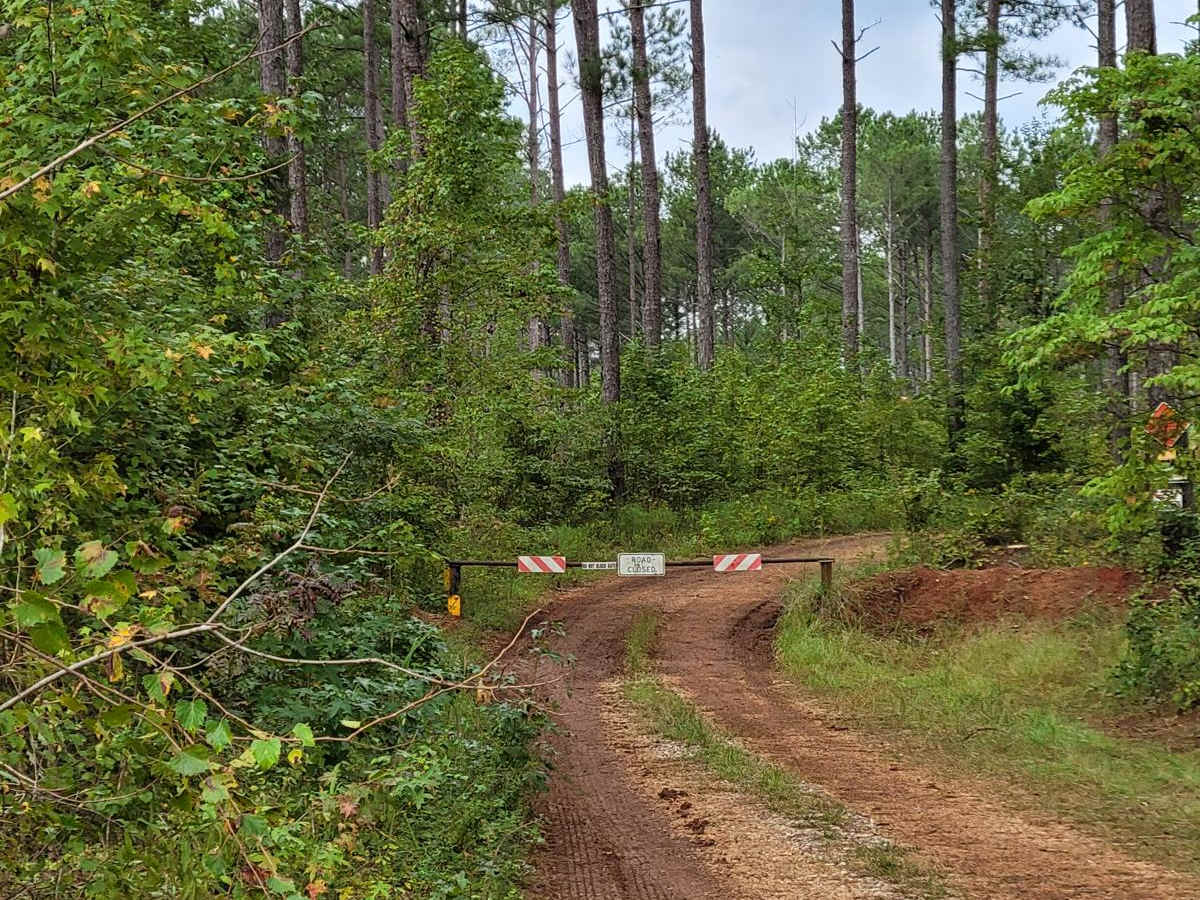 Lane Cemetery Trail photo 3