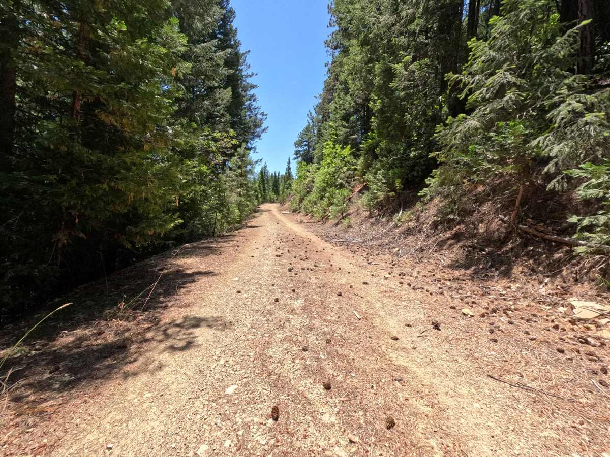 Deadhorse Creek - FS 37N80Y photo 6