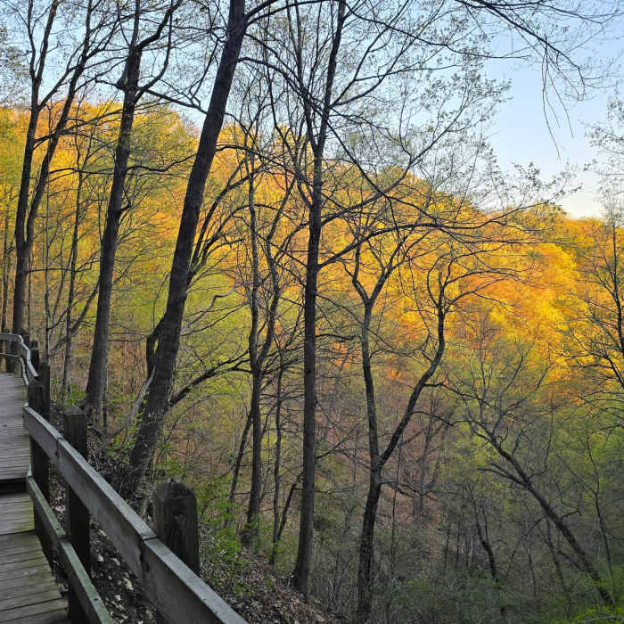 Near Bridal Veil Falls Trail