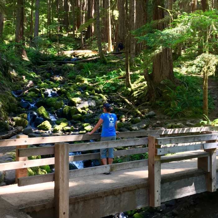 Near Lover's Lane Trail