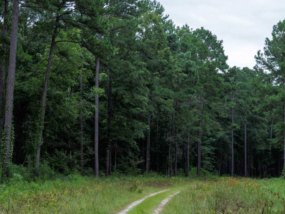Clay Hill trail photo