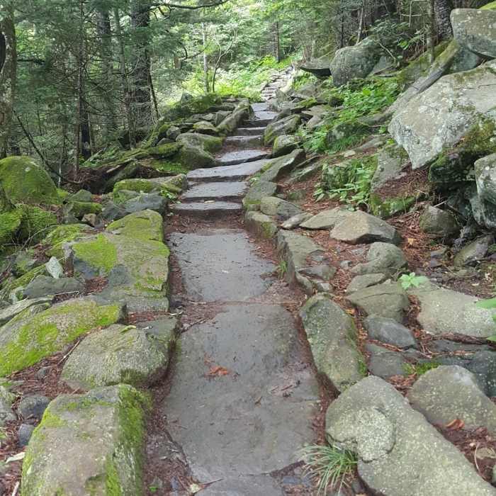Heading back to Clingmans Dome, August 2017 Near Forney Creek Trail