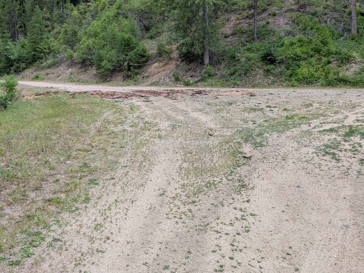 Cedar Creek - FS 3700-110 photo 2