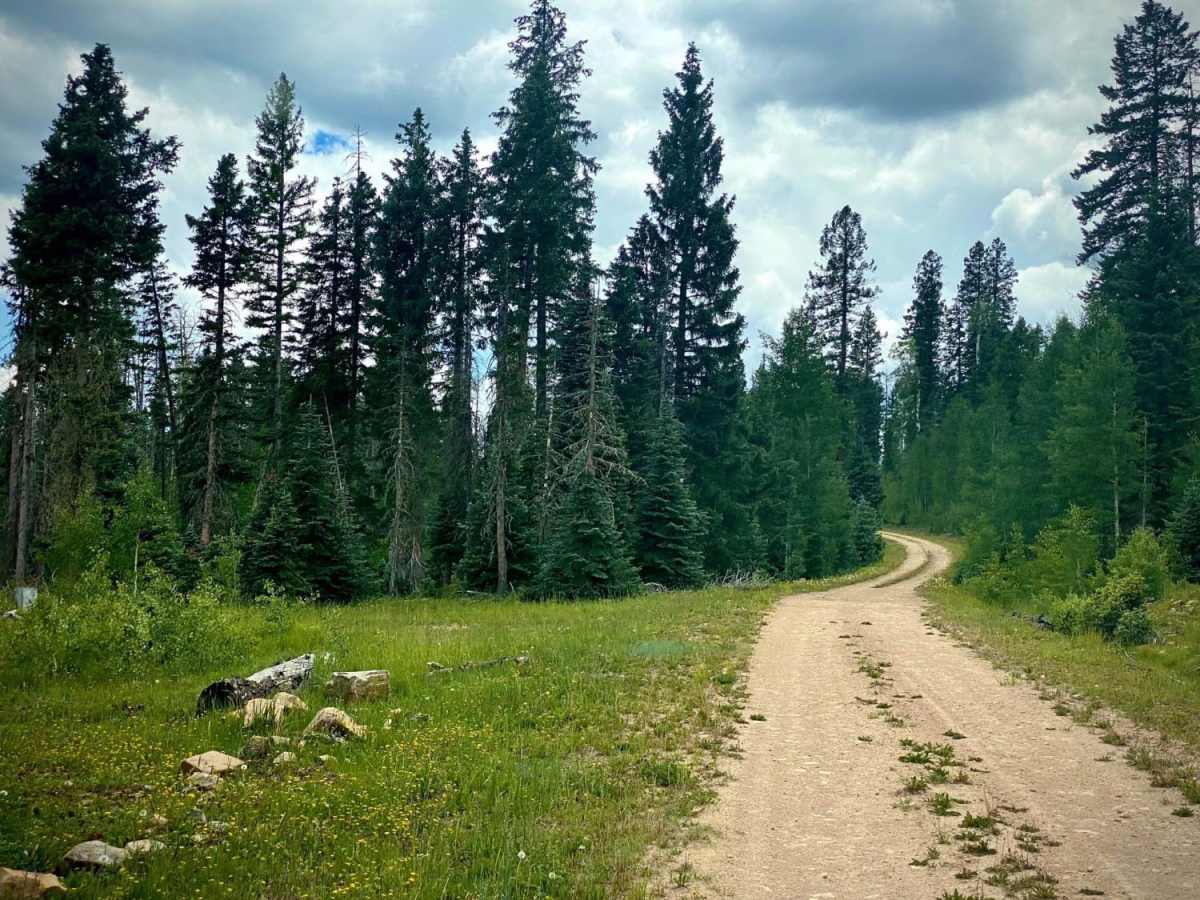 Sandbench-Fr Rd 642 photo 2