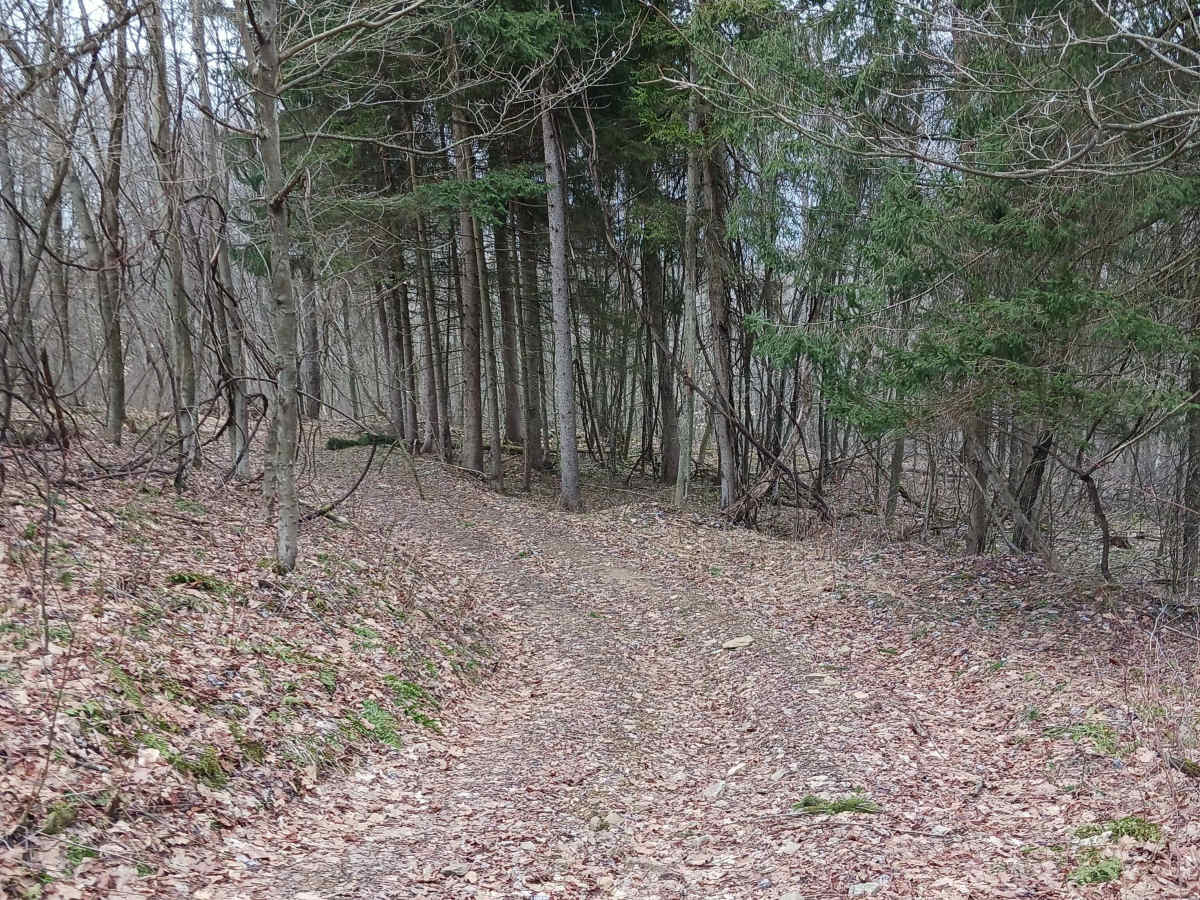 Trail 15A - Rock Run Recreation Area photo 6