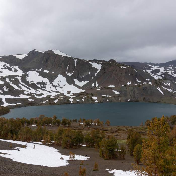 Near Leavitt Lake Trail #22071